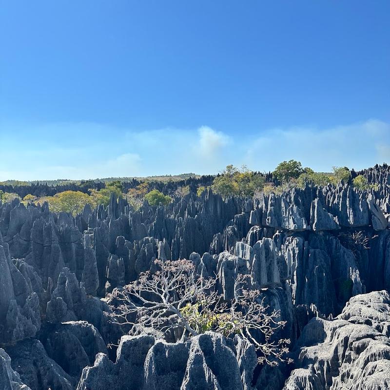 Avia Travel Madagascar — Services