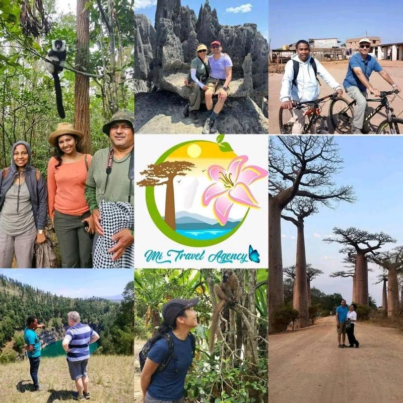 Mi Travel Agency — Services