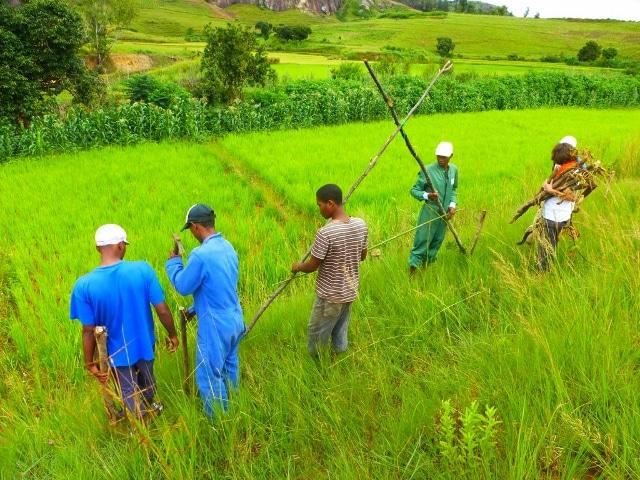 Le Relais Madagascar — Autre