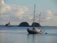 Vingila