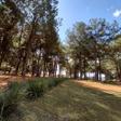 Parc l'Est