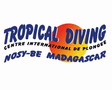 Tropical Diving
