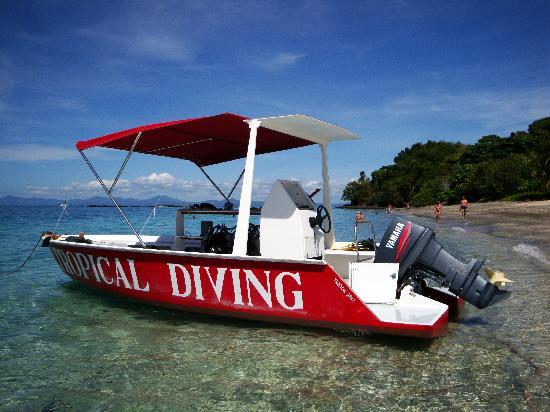 Tropical Diving — Loisirs