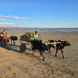Madagascar Green Tours