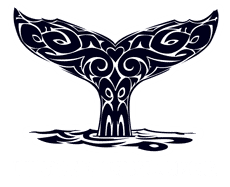 Ulysse Explorer — Hôtel